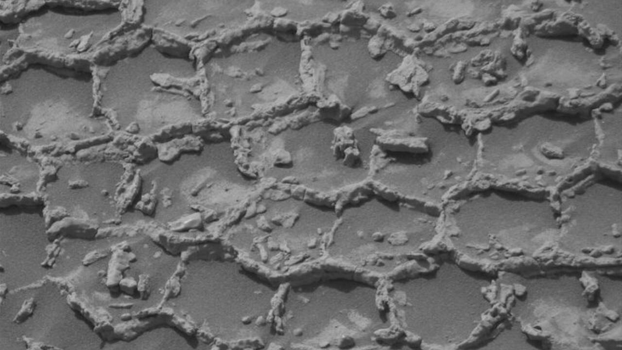 Curiosity Rover Discovers Honeycomb-Like Rock Formation on Mars