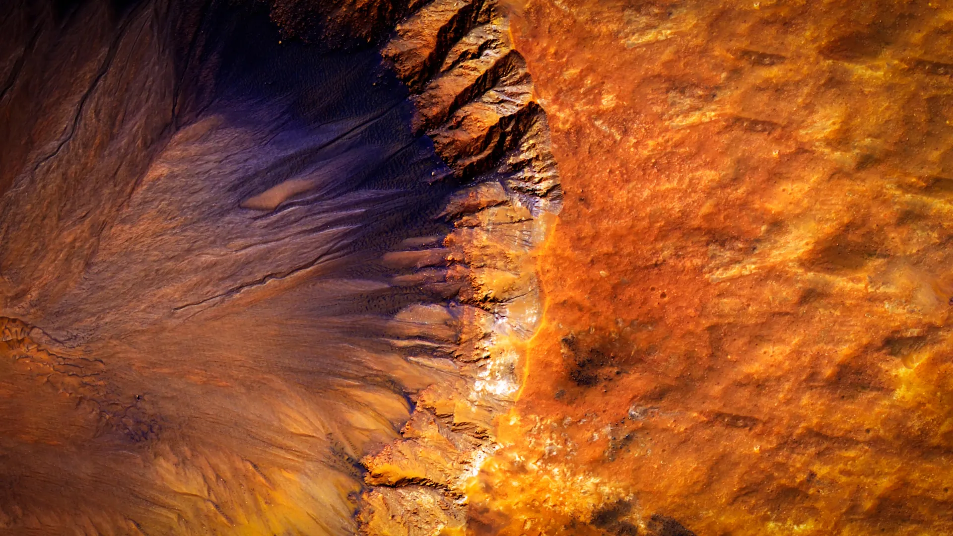 Yeast Survives Mars-Like Stress in Lab Study