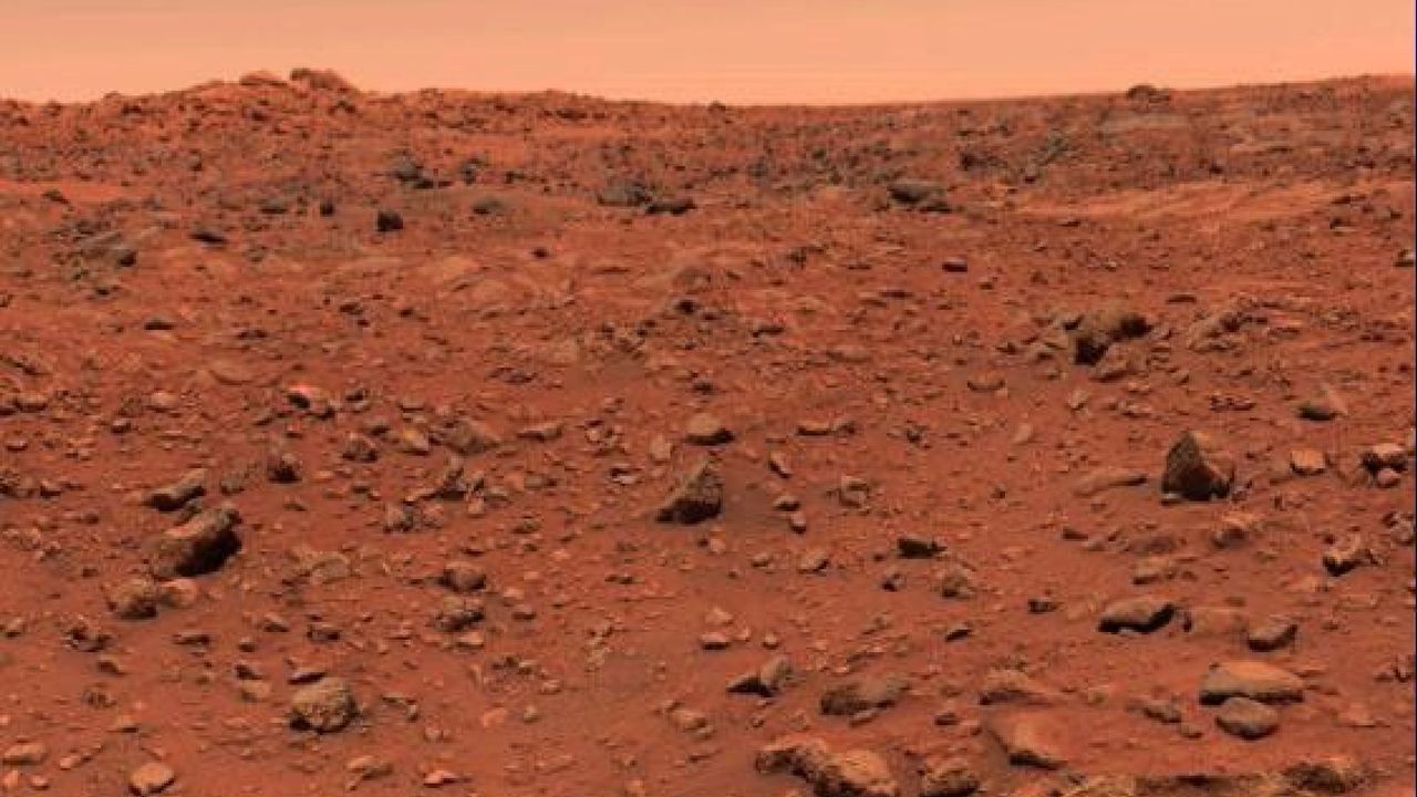 Viking 1's Life Detection Experiments: A 50-Year Martian Mystery