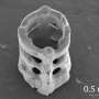Holographic laser printing achieves 3D shapes with voids in one shot