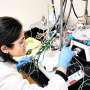 Rare Earth Elements Recovered from Coal Fly Ash Using Novel Method