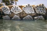 FIU 3D Prints Seawall Tiles to Boost Marine Life