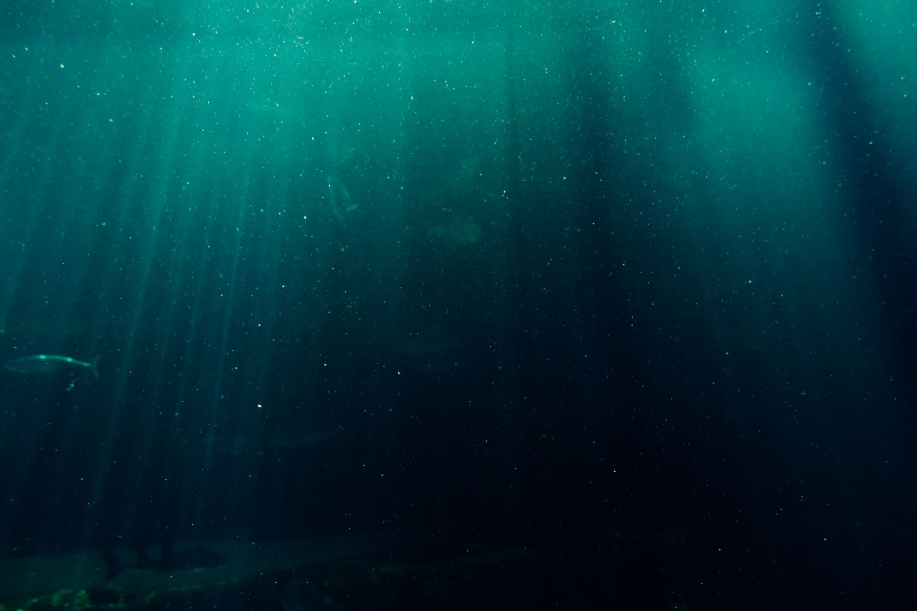 Less Than 0.001% of Deep Ocean Floor Visually Explored