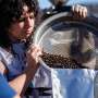 Solar-charged rock bed powers coffee roaster with stored heat