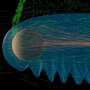 Mars' Atmosphere Lost to Space Via Solar Wind-Driven Waves