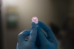 EPFL's 3D Printed Elastomer Combines Toughness and Fatigue Resistance