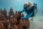 3D Printed Reefs Deployed in Maldives to Combat Coral Decline