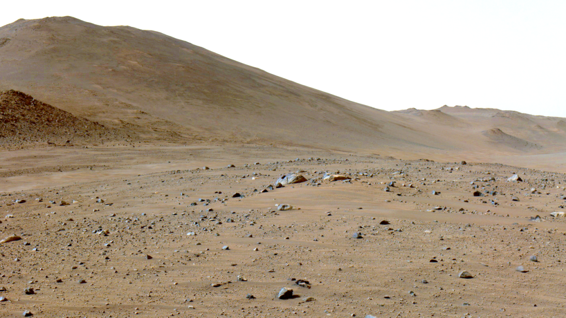 Perseverance Rover Detects Surface Organic Carbon on Mars
