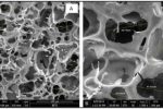 BITS Pilani’s 3D-Printable Hydrogel Aims for Tissue Repair and Drug Delivery