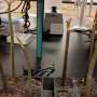 USF Researchers Develop Sustainable Systems for Space Agriculture