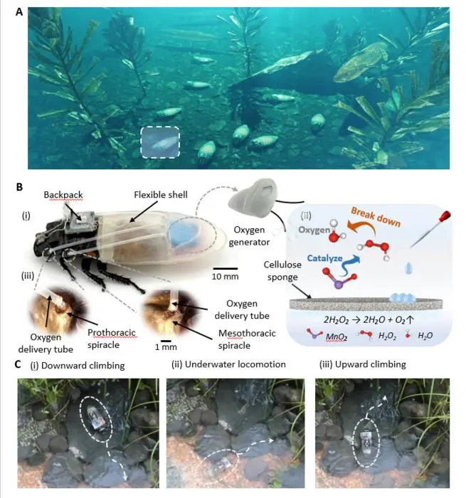3D Printed Diving Suit Enables Cyborg Cockroaches to Explore Underwater