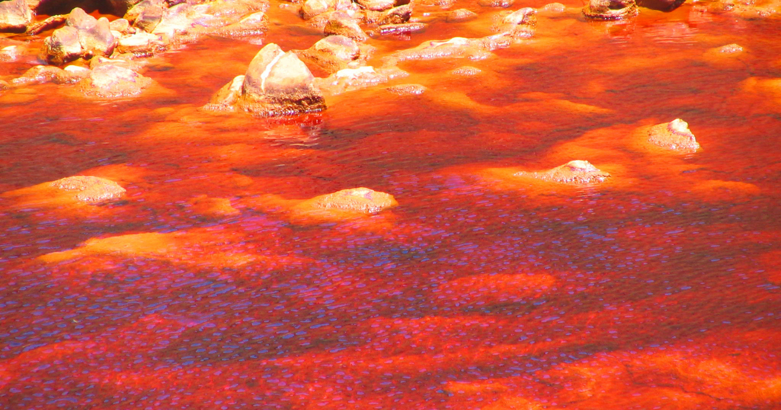 Spanish River: Mars Analogue for Astrobiology Missions