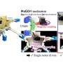 Robotic Hand Switches Grippers Using Single Motor and Gravity