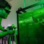 UCF Researchers Study Wing Shape for Smoother Drone Water-to-Air Launches