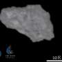 China's Tianwen-2 Probe Reaches Asteroid for Sample Return Mission