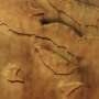 Mars Express Spots Dozens of Dust Devils in Ancient Martian Valley