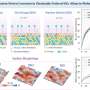 Atomic Arrangement Influences Corrosion in Nuclear Reactor Metals