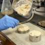 Student develops wood-based foam as sustainable cooler insulation