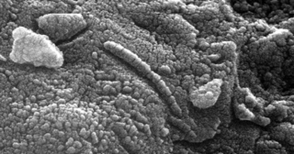NASA's 1996 Mars Life Announcement: A Turning Point