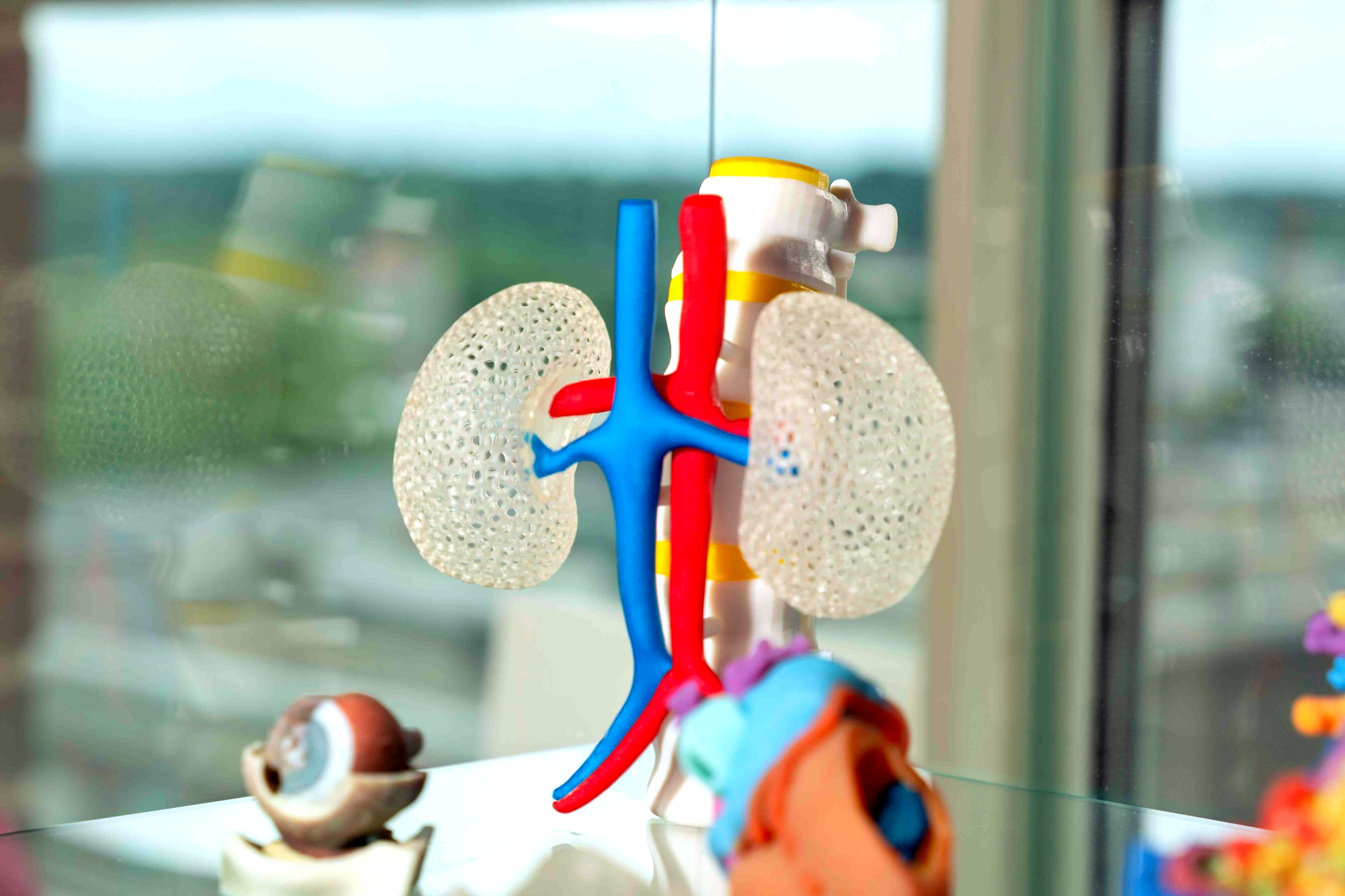 Ricoh Sells 3D Healthcare Business to Myrava, Inc.