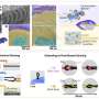 Stretchable Self-Powered Sensor Achieves 668% Elongation with Stable Signals
