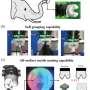 EleTac: Elephant-Inspired Soft Gripper Boasts Advanced Tactile Sensing