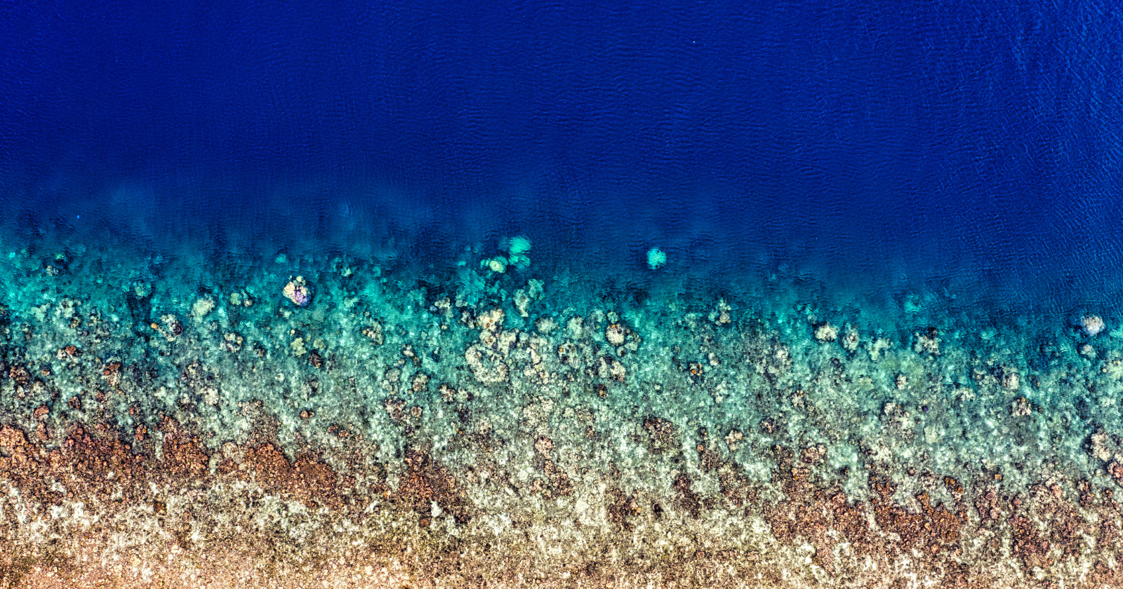 Earth's Ocean Floor Mapping Trails Mars Surface Scrutiny
