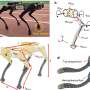 Porous 3D-Printed Robot Feet Enhance Energy Efficiency