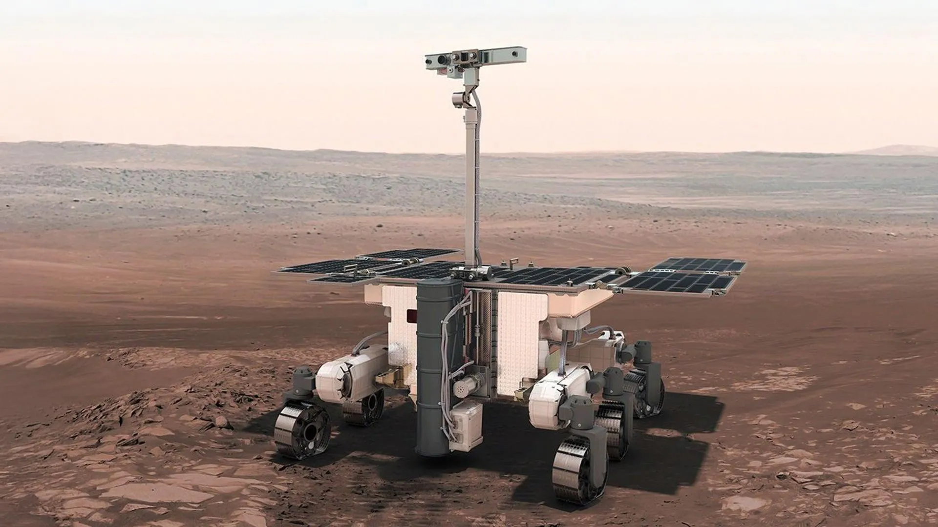 Mars Rover's Chirality Detector Tested Successfully