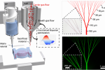 Hybrid Bioprinting Creates Capillary-Scale Vascular Networks